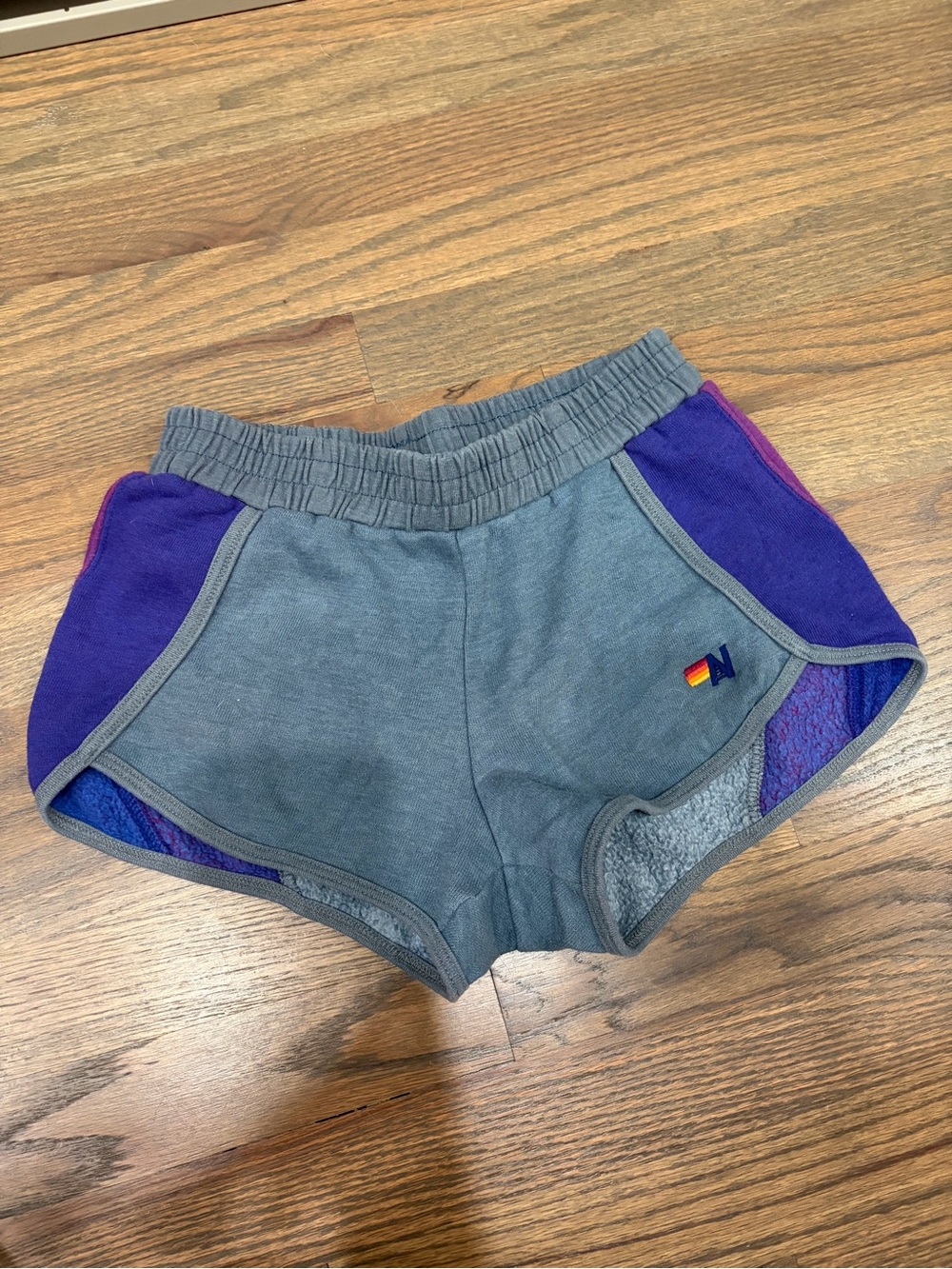 Aviator Nation Gray Shorts with Purple Panels & Rainbow Logo